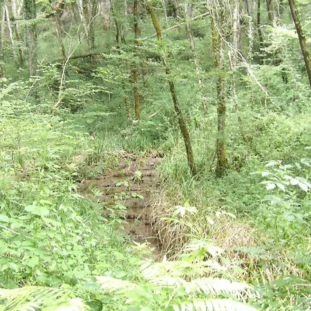 La Maison Lotoise D'alice Et Jeanne *