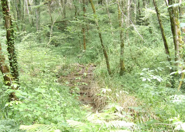 La Maison Lotoise D'alice Et Jeanne *
