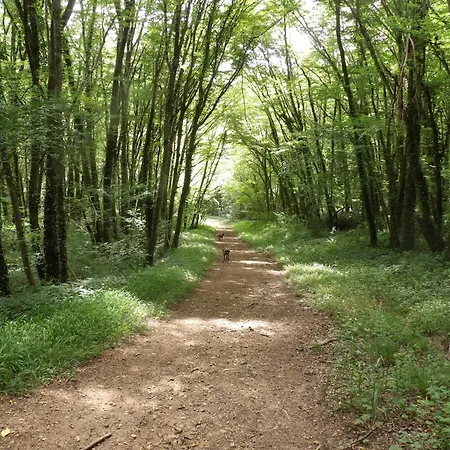 La Maison Lotoise D'alice Et Jeanne Faycelles