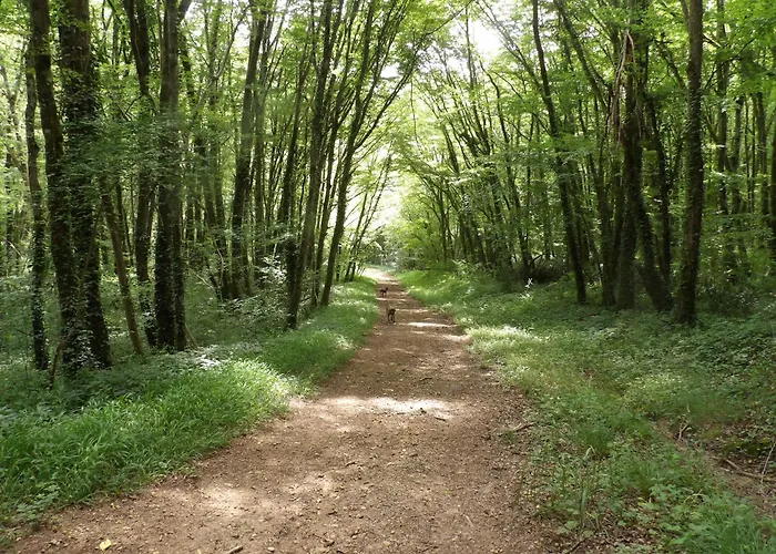 La Maison Lotoise D'alice Et Jeanne Faycelles